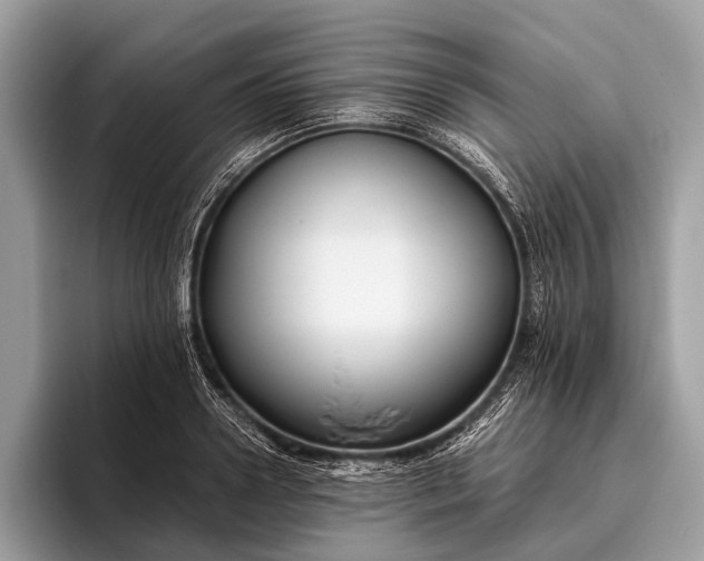 X0000095910938200801251007