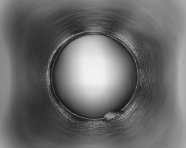 X0000095910939200801251007