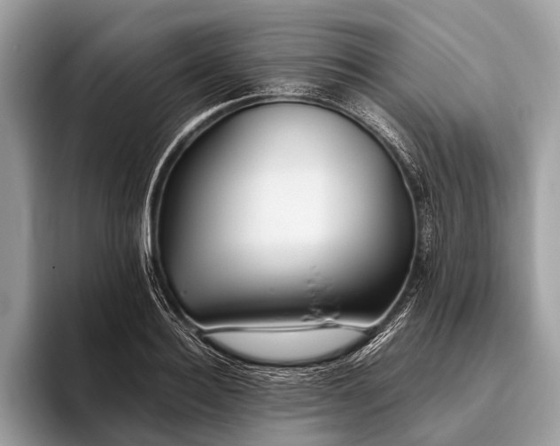 X0000095910940200801251007