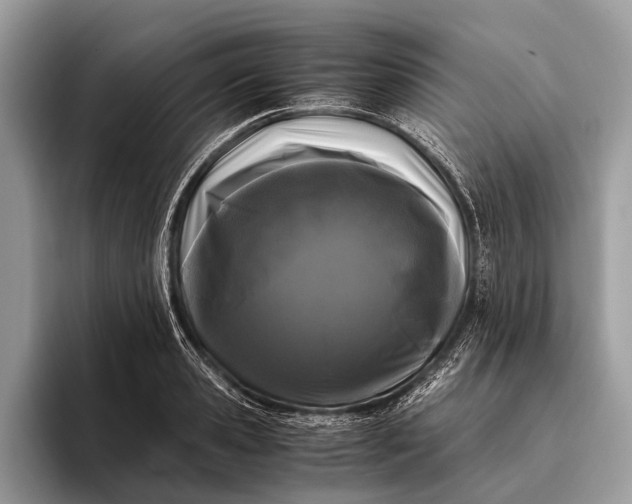 X0000095910941200801251007