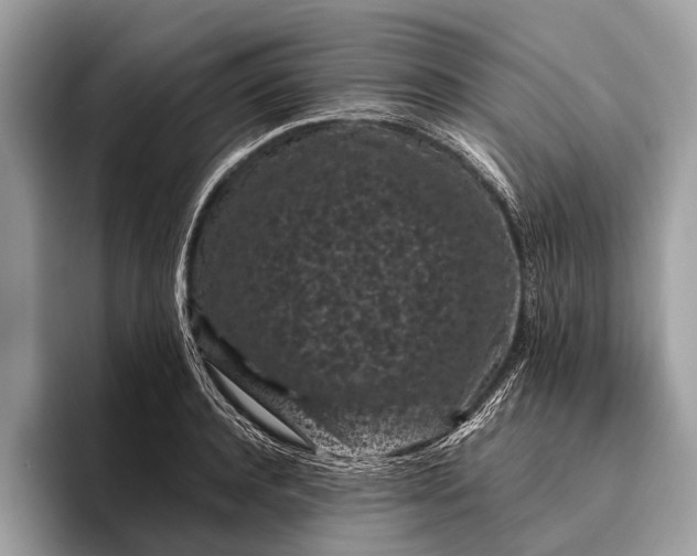 X0000095910944200801251007