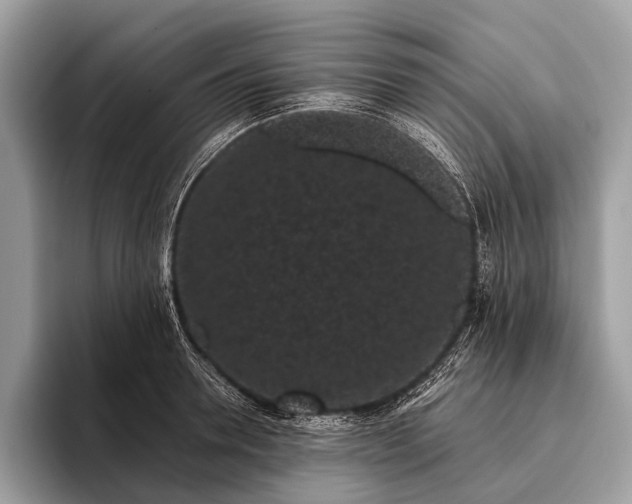 X0000095910946200801251007