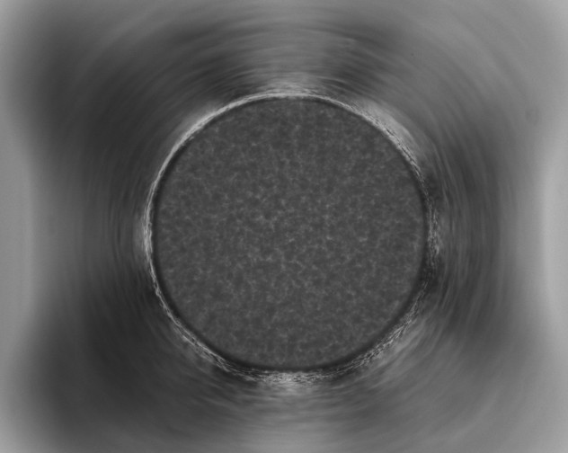 X0000095910950200801251007