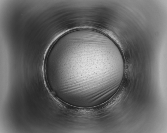 X0000095910951200801251007