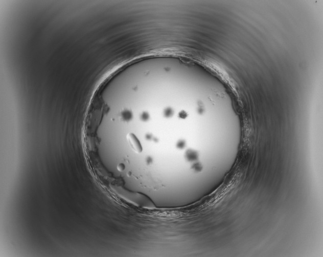 X0000095910952200801251007