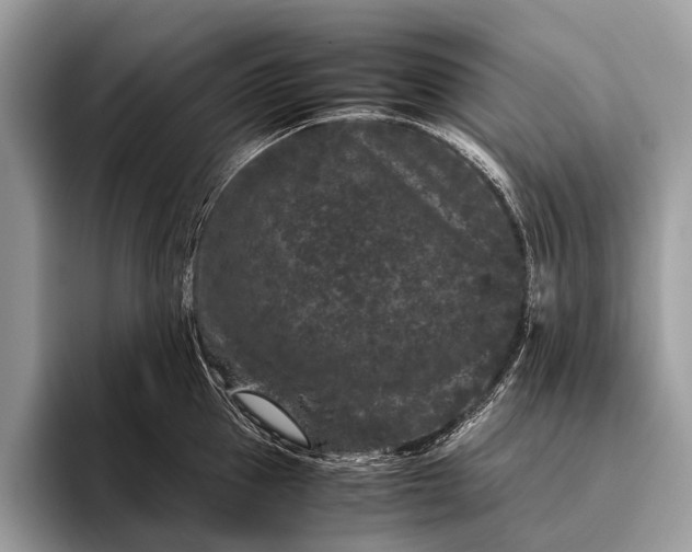 X0000095910953200801251007