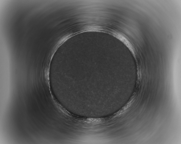 X0000095910954200801251007