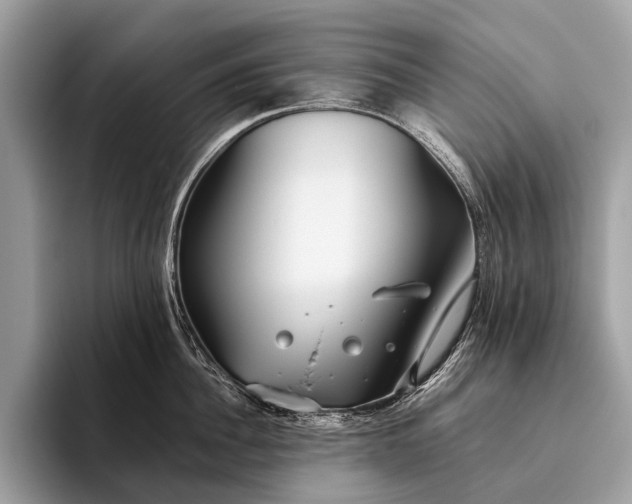 X0000095910956200801251007