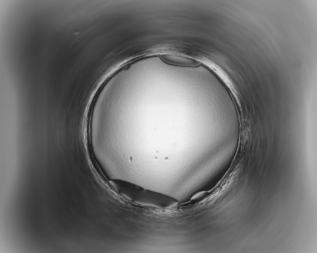 X0000095910957200801251007