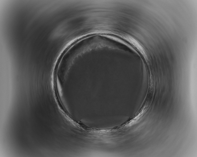 X0000095910958200801251007