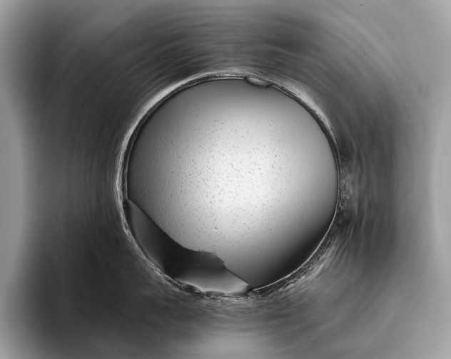 X0000095910959200801251007