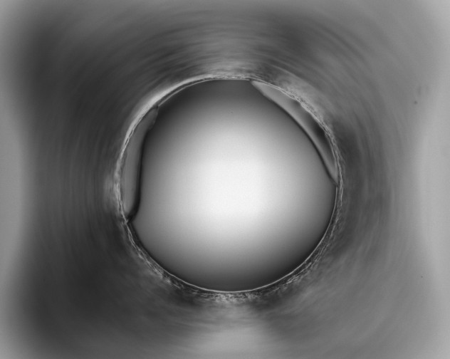 X0000095910960200801251007