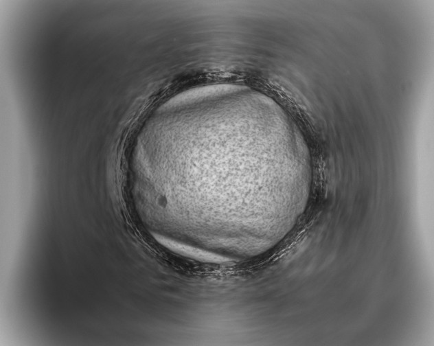 X0000095910961200801251007