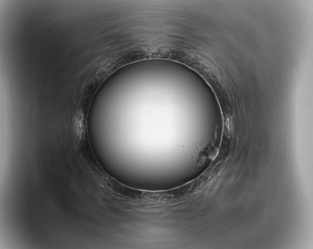 X0000095910963200801251007