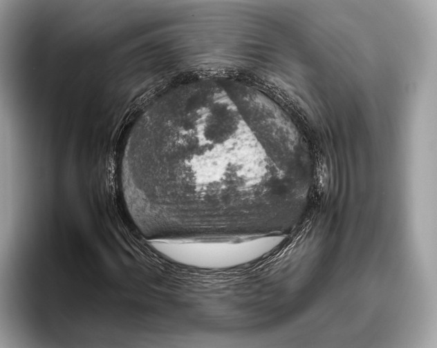 X0000095910964200801251006