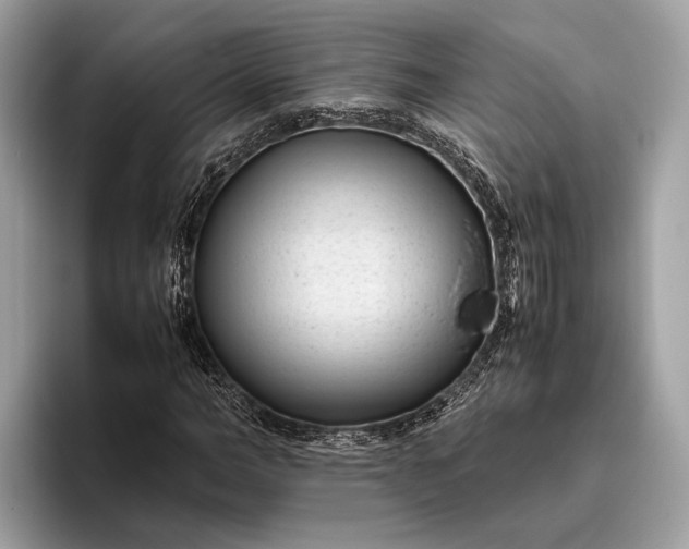 X0000095910966200801251006