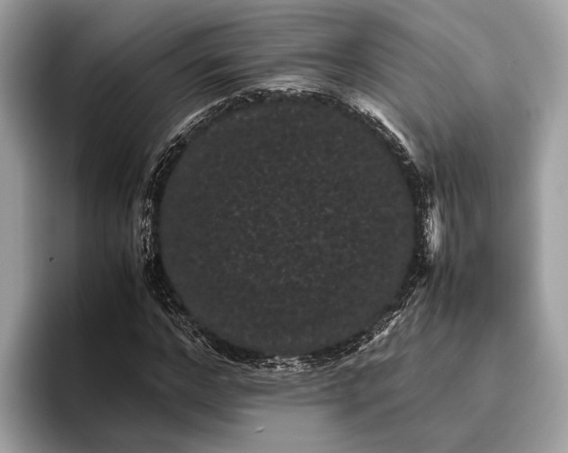 X0000095910968200801251006