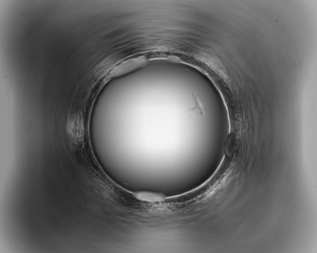 X0000095910969200801251006