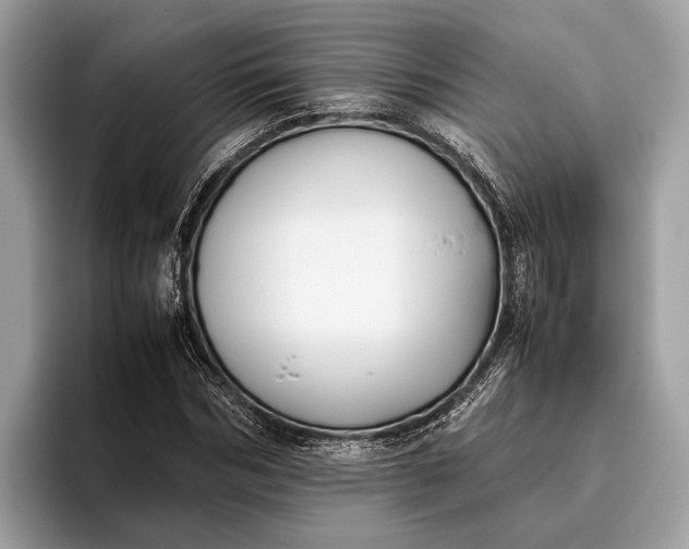 X0000095910970200801251006