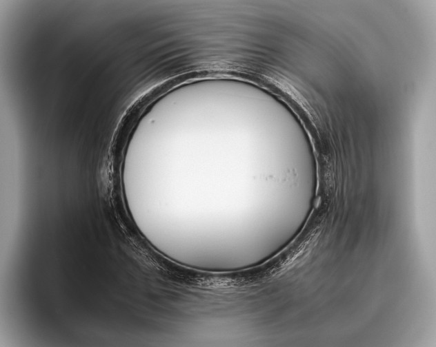 X0000095910971200801251006