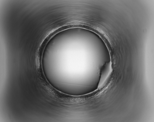 X0000095910973200801251006