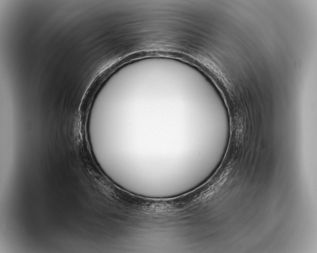 X0000095910974200801251006