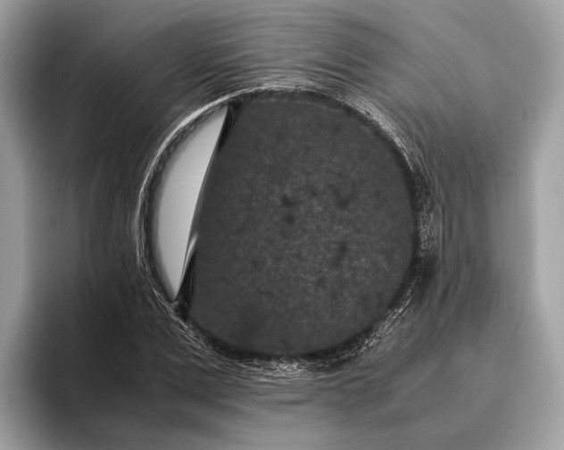 X0000095910975200801251006