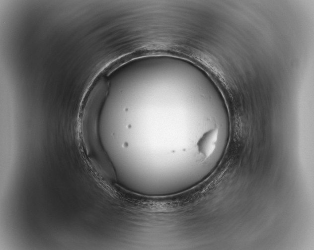 X0000095910976200801251006