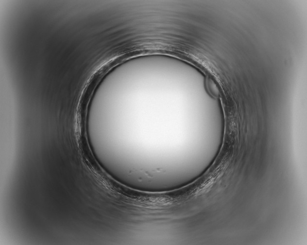 X0000095910979200801251006