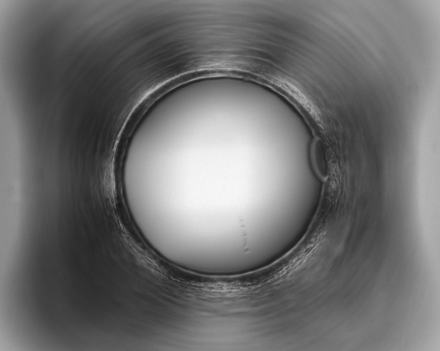 X0000095910980200801251006