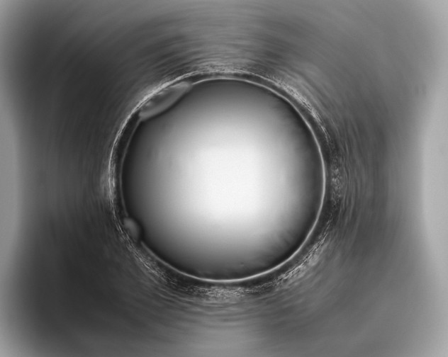 X0000095910981200801251006