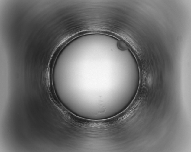 X0000095910982200801251006