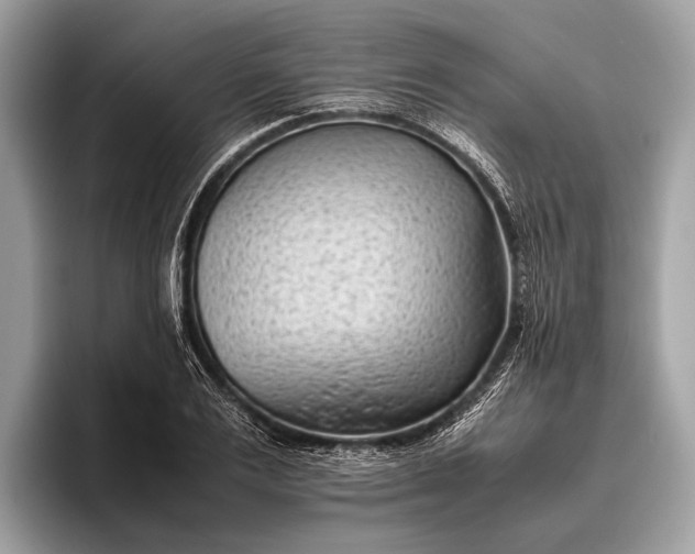 X0000095910983200801251006