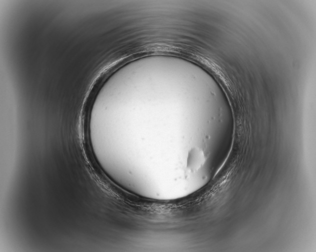 X0000095910987200801251006