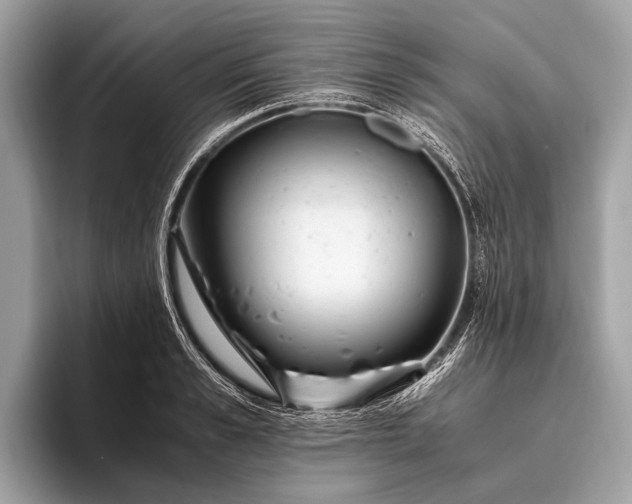 X0000095910989200801251006