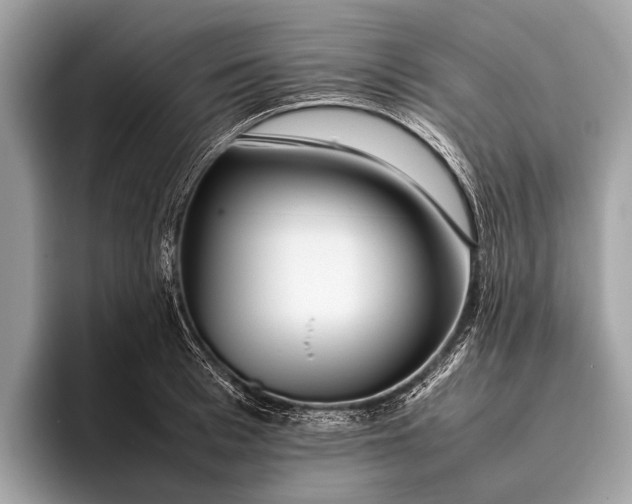 X0000095910993200801251006