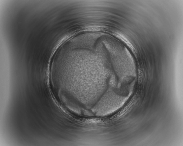 X0000095910994200801251006