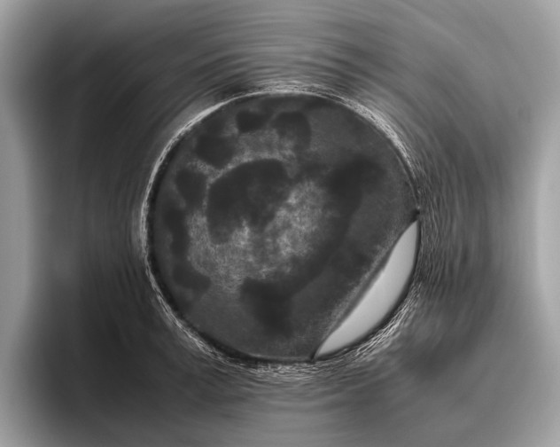 X0000095910995200801251006