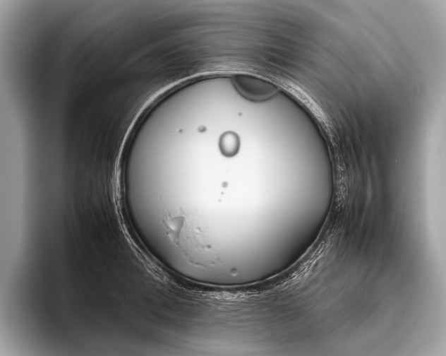 X0000095910996200801251006