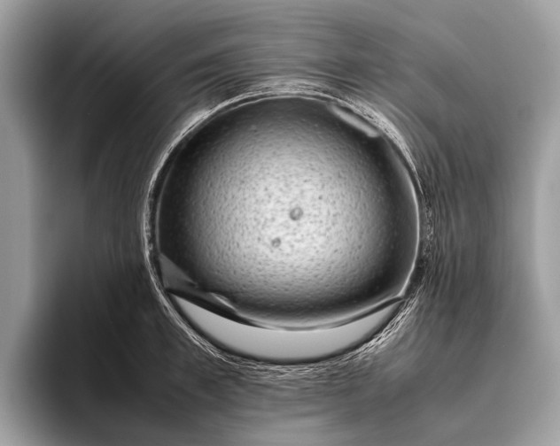 X0000095910997200801251006