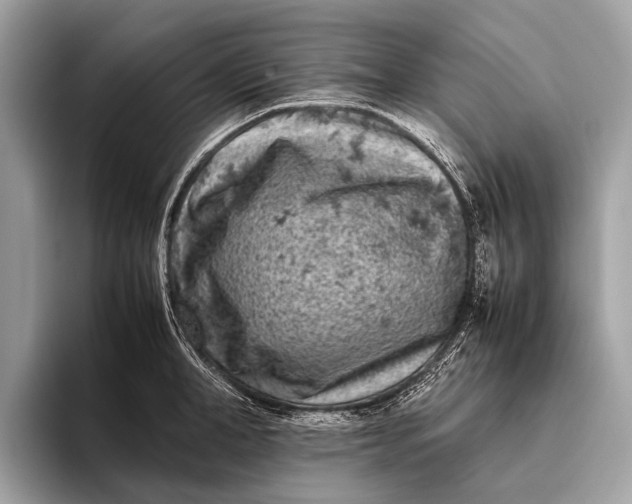 X0000095910998200801251006