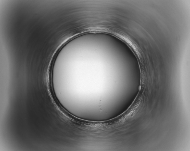 X0000095910999200801251006