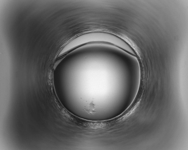 X0000095911001200801251006