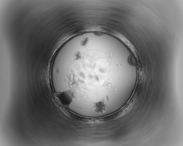 X0000095911002200801251006