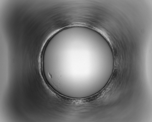 X0000095911003200801251006