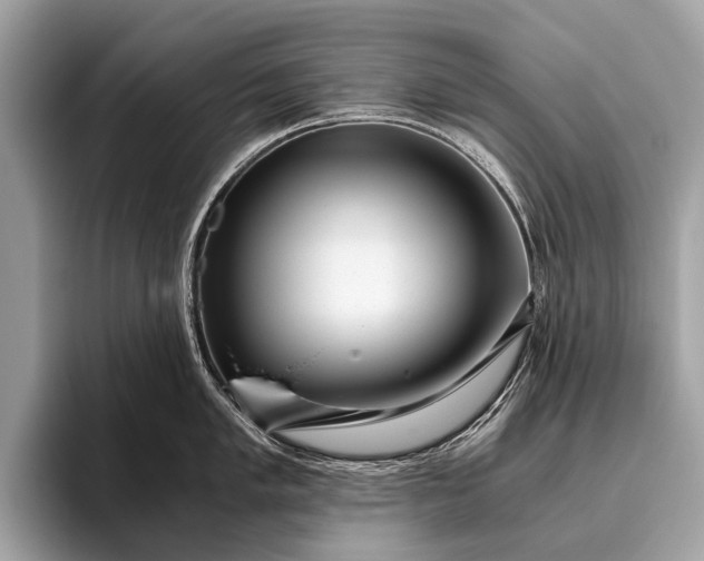 X0000095911005200801251006