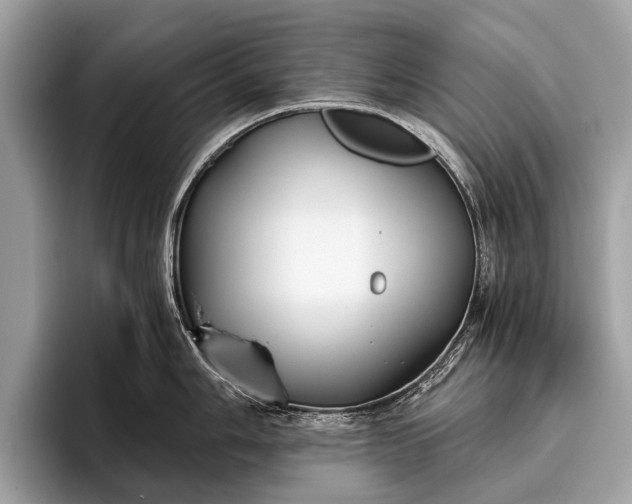 X0000095911006200801251006