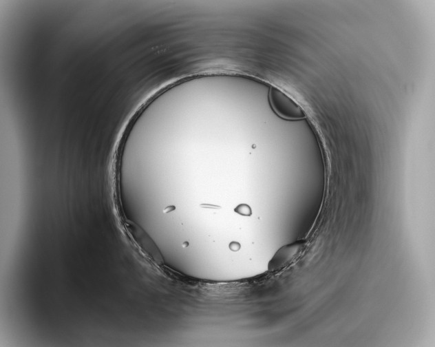 X0000095911008200801251006