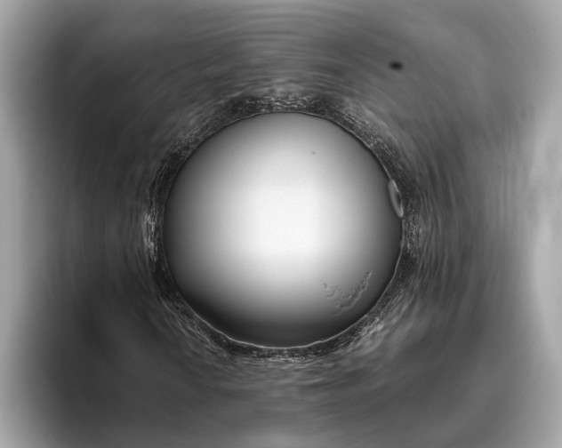 X0000095911010200801251005