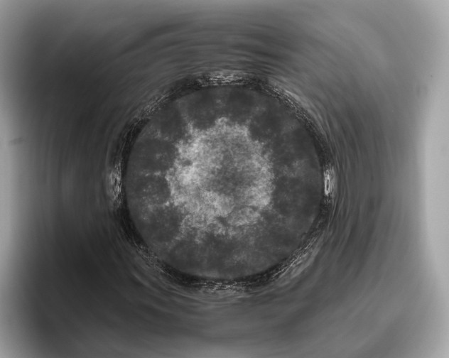 X0000095911011200801251005